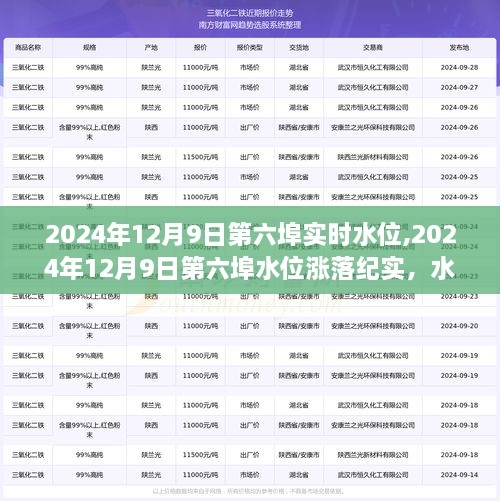 2024年12月9日第六埠水位变迁纪实，城市脉动与水情涨落