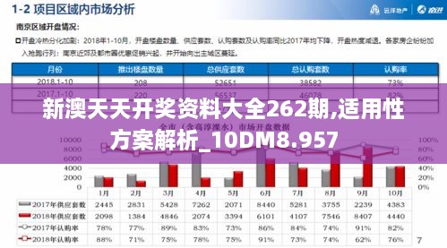 新澳天天开奖资料大全262期,适用性方案解析_10DM8.957