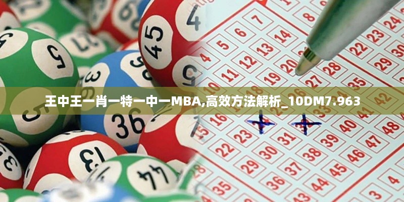 王中王一肖一特一中一MBA,高效方法解析_10DM7.963