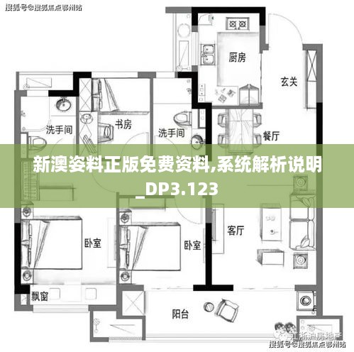 新澳姿料正版免费资料,系统解析说明_DP3.123