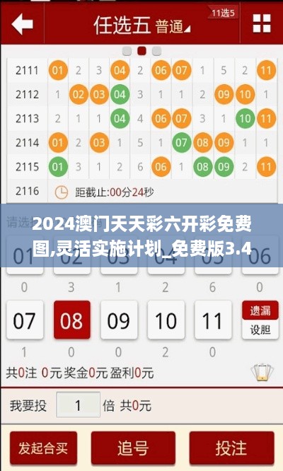 2024澳门天天彩六开彩免费图,灵活实施计划_免费版3.406