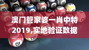 澳门管家婆一肖中特2019,实地验证数据策略_安卓版8.427