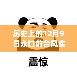 历史上的12月9日永口前台风实时路径动态解析与指南