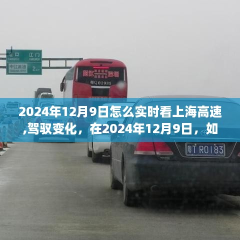 驾驭上海高速成长之路，实时关注2024年12月9日上海高速动态