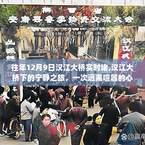 汉江大桥下的宁静之旅，远离喧嚣的心灵体验与实时拥堵观察