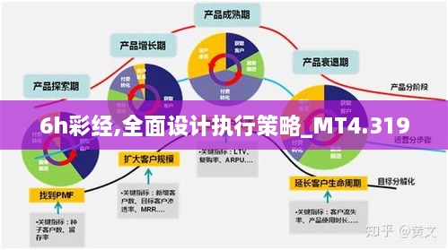 2024年12月10日 第37页