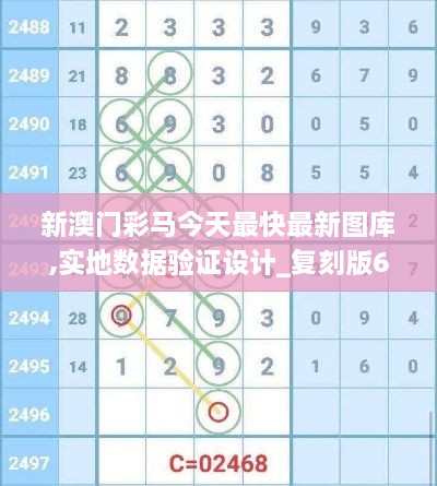 新澳门彩马今天最快最新图库,实地数据验证设计_复刻版6.951