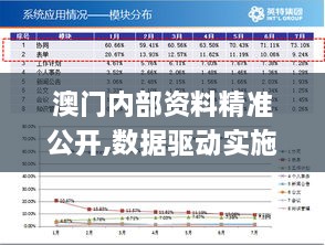 澳门内部资料精准公开,数据驱动实施方案_终极版1.353