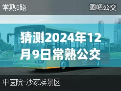 常熟公交实时查询系统，公交奇缘的温暖日常（预测至2024年12月9日）