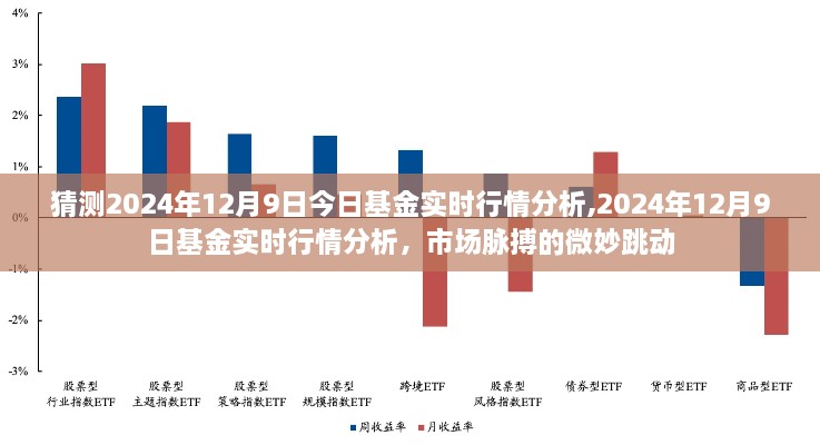 2024年12月9日基金实时行情分析，捕捉市场脉搏的微妙跳动