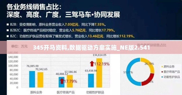 345开马资料,数据驱动方案实施_NE版2.541