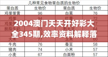 2004澳门天天开好彩大全345期,效率资料解释落实_1440p2.601