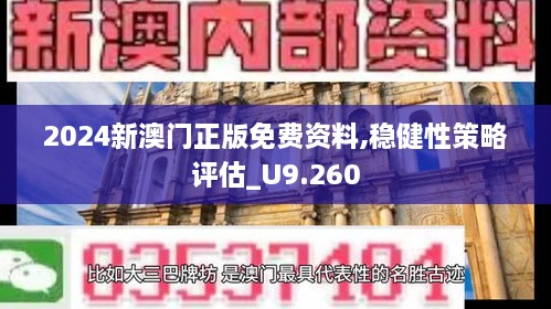 2024新澳门正版免费资料,稳健性策略评估_U9.260