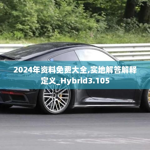 2024年资料免费大全,实地解答解释定义_Hybrid3.105