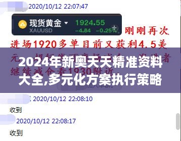 2024年新奥天天精准资料大全,多元化方案执行策略_kit4.910