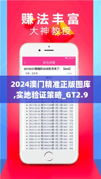 2024澳门精准正版图库,实地验证策略_GT2.923