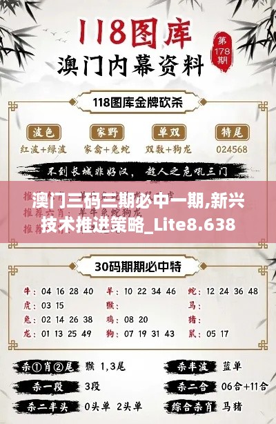 澳门三码三期必中一期,新兴技术推进策略_Lite8.638