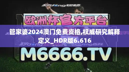 管家婆2024澳门免费资格,权威研究解释定义_HDR版6.616