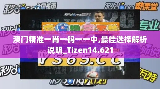 澳门精准一肖一码一一中,最佳选择解析说明_Tizen14.621