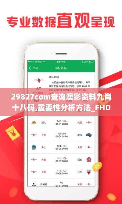 29827cσm查询澳彩资料九肖十八码,重要性分析方法_FHD9.672