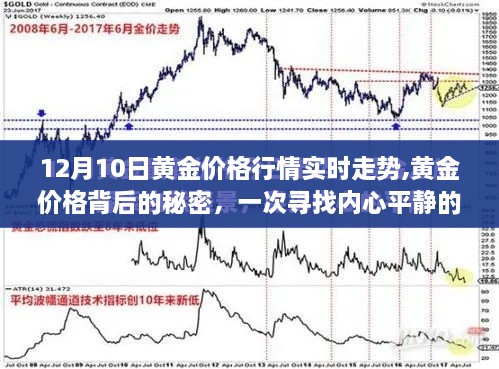 2024年12月11日 第68页