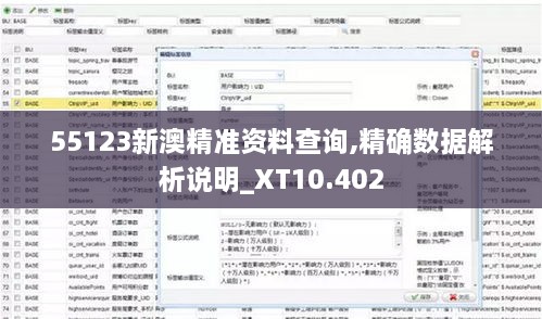 55123新澳精准资料查询,精确数据解析说明_XT10.402