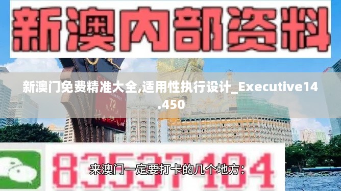 新澳门免费精准大全,适用性执行设计_Executive14.450