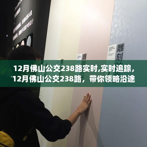 12月佛山公交238路实时追踪，领略沿途风景与便捷出行