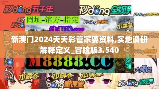 新澳门2024天天彩管家婆资料,实地调研解释定义_冒险版3.540