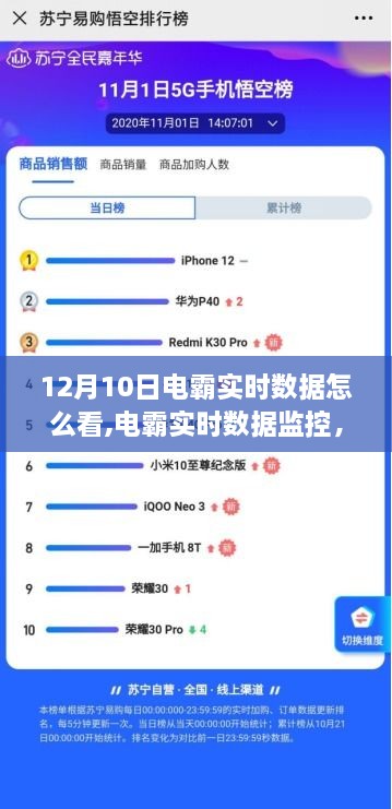 电霸实时数据深度解析与用户体验分享指南，12月10日电霸实时数据监控教程与分享