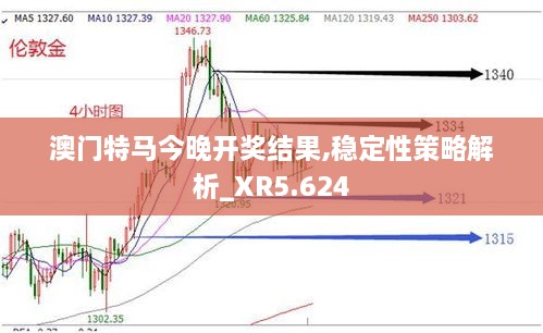 澳门特马今晚开奖结果,稳定性策略解析_XR5.624