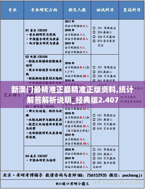 新澳门最精准正最精准正版资料,统计解答解析说明_经典版2.407