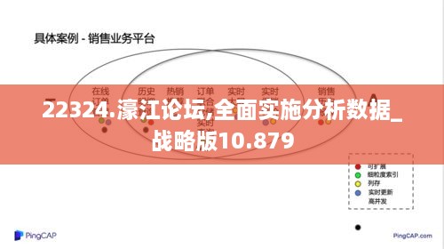 22324.濠江论坛,全面实施分析数据_战略版10.879