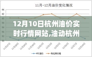 12月10日杭州油价实时行情，新纪元启动，洞悉油动杭州