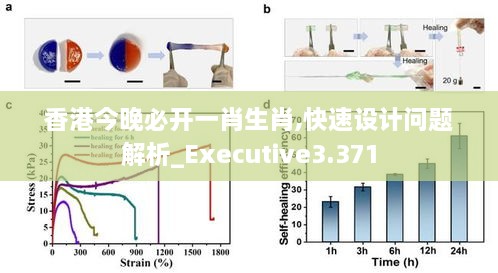 2024年12月11日 第46页