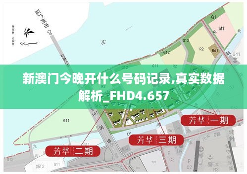 新澳门今晚开什么号码记录,真实数据解析_FHD4.657