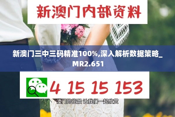 新澳门三中三码精准100%,深入解析数据策略_MR2.651