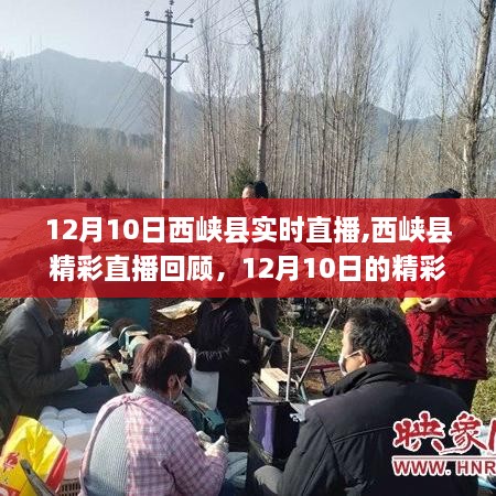 12月10日西峡县精彩直播回顾，瞬间错过不再，精彩瞬间再现！