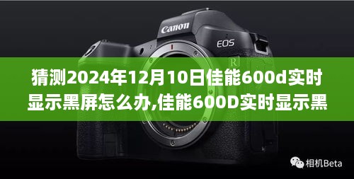 佳能600D实时显示黑屏问题解析与应对指南（针对未来预测，佳能相机使用指南，2024年最新版）