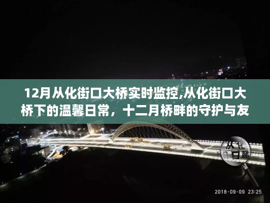 从化街口大桥下的温馨日常，守护与友情的十二月桥畔实时观察