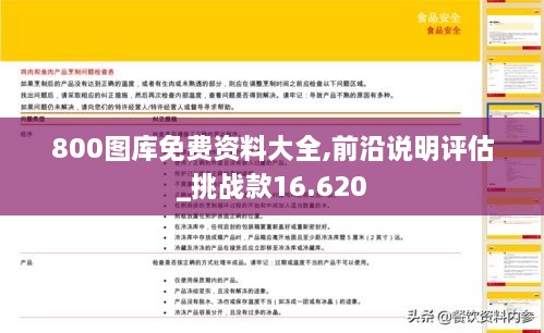 800图库免费资料大全,前沿说明评估_挑战款16.620