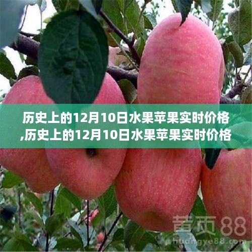 小红书带你穿越果价时光，揭秘历史上水果苹果实时价格回顾（12月10日篇）