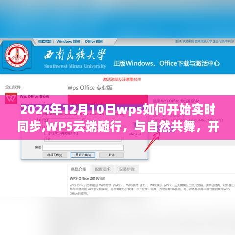 WPS云端随行，开启实时同步之旅，与自然共舞的心灵同步体验（2024年12月10日）