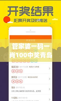 管家婆一码一肖100中奖青岛,可靠研究解释定义_VE版7.269