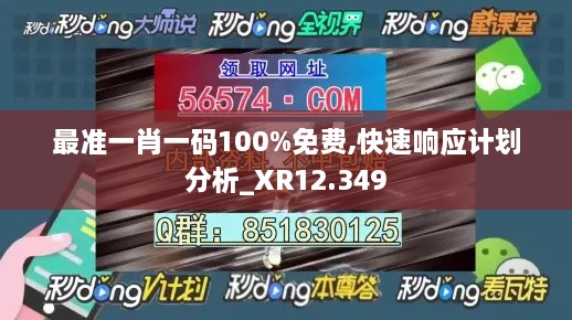 最准一肖一码100%免费,快速响应计划分析_XR12.349