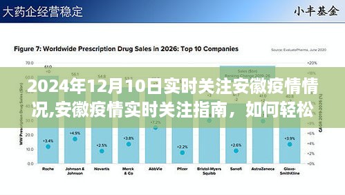 2024年12月10日安徽疫情实时关注指南，轻松掌握最新疫情动态
