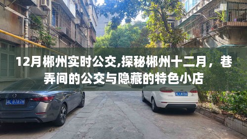 探秘郴州十二月，公交之旅与隐藏特色小店