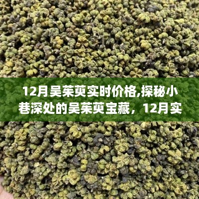 探秘小巷深处的吴茱萸宝藏，独家揭秘12月实时价格