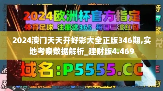 2024澳门天天开好彩大全正版346期,实地考察数据解析_理财版4.469