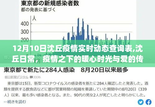 沈丘疫情实时动态查询表，暖心日常与爱的传递在行动